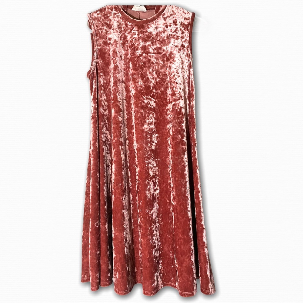 Thyme and Honey Pink Velvet Dress
